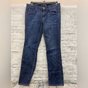 Hudson triangle pocket straight leg jeans sz 27 euc